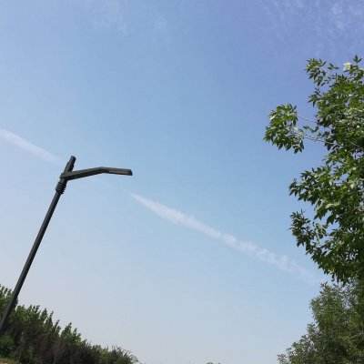 蛋蛋保卫战手机版下载